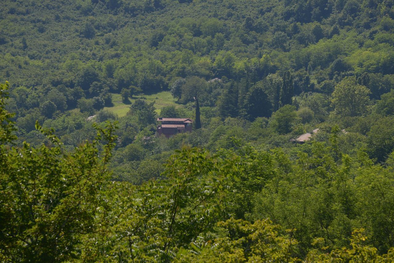 Chateau Chikovani Ξενοδοχείο Gordi Εξωτερικό φωτογραφία